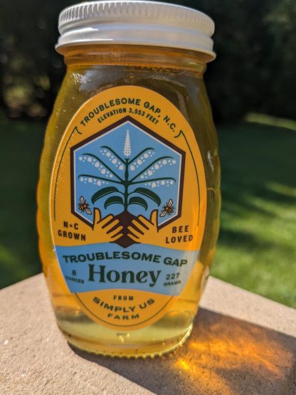 BBQ & Raw Honey Gift Set - Mild - Image 2