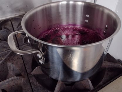 Elderberry Syrup - Make Your Own - Image 2