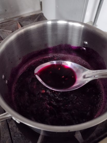 Elderberry Syrup - 12 fluid ounces